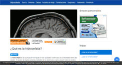 Desktop Screenshot of hidrocefalia.net